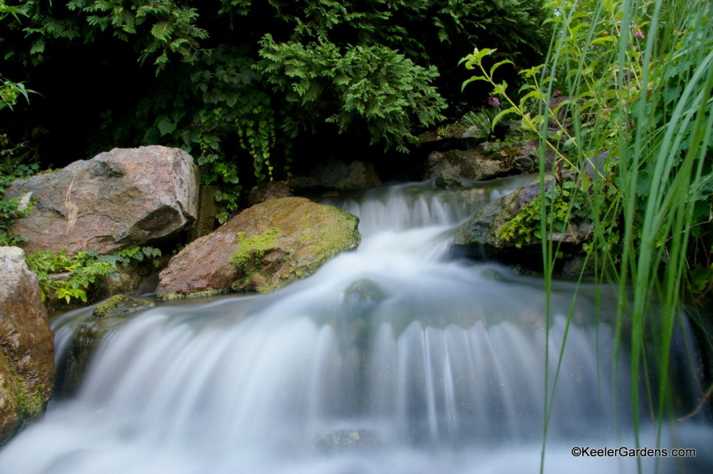 The photograph of this waterfall is done in a way to show the fluid nature. The water looks like it is still moving over the rocks and through the plants on the rocks as it empties into the water basin.