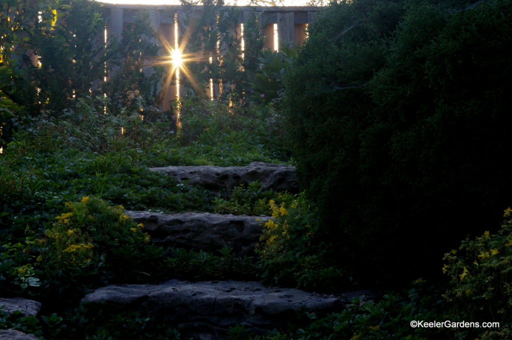 Sun barely shines through the fence