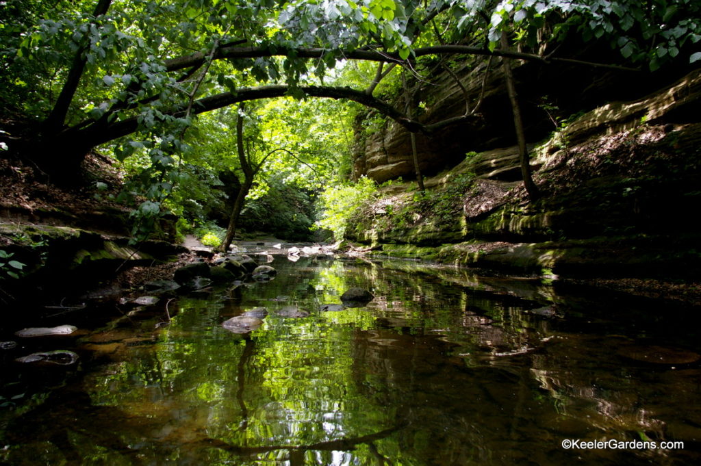 Deep below the hiking trails above the bluffs we see the calm stream that helped to carve these giant limestone bluffs. Aside from a few ripples from a stone or branch colliding upstream it is almost a mirror image of the landscape above.