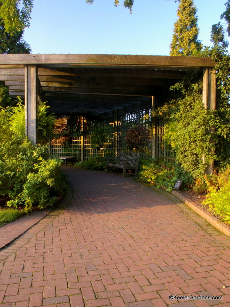 A view of the entry to the cavernous pergola in the Rose Garden at Chicago Botanic Garden. The brick path in the foreground invites you to look around the curve to the shaded sanctuary of the pergola. About 10 feet in is a welcoming bench flanked by both plant beds and hanging plants.