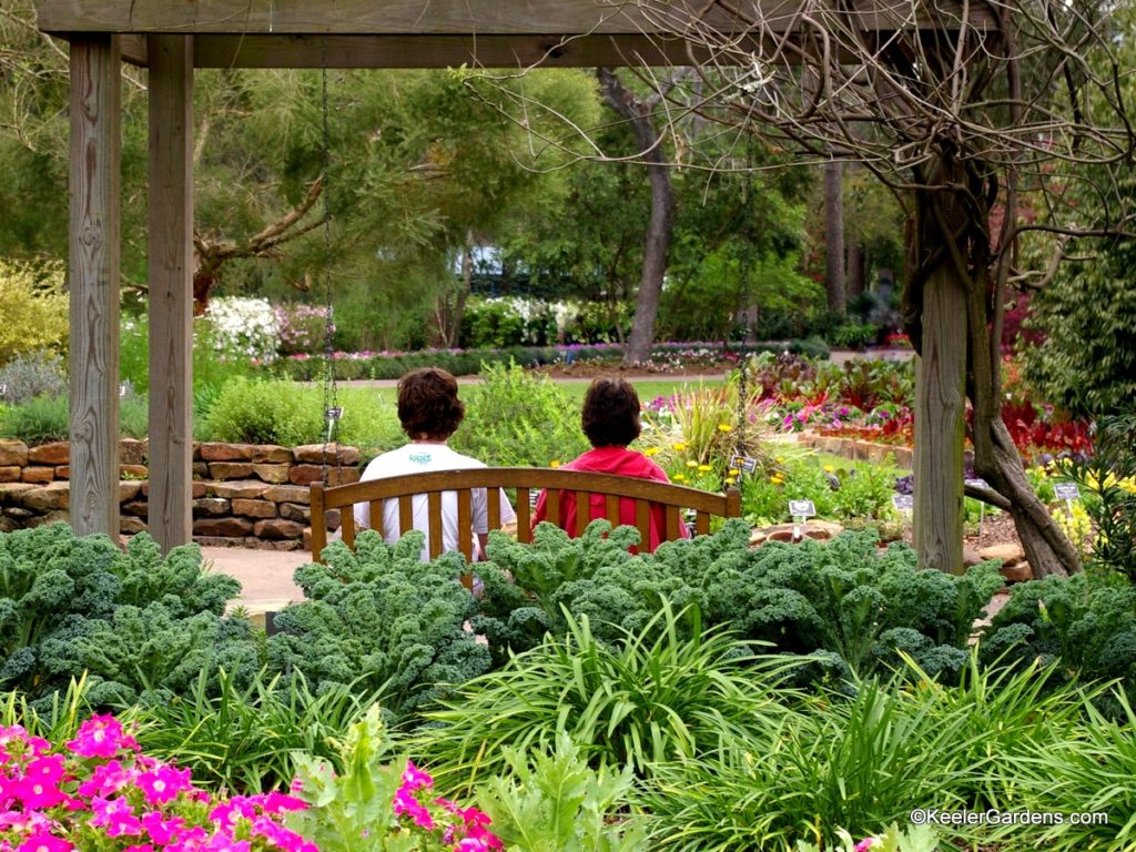 A lush garden in Texas with petunias, daylilies, and kale in the foreground with a pergola framing a mother and teenage son on a bench swing hung from the structure. The path in front of them is walled with mixed annual display beds accenting perennial lavender, catmint, and boxwood, as they wind to the right holding red feather celosia as a feature with a lush grassy lawn opening up to evergreens in a woodland garden in the distance.