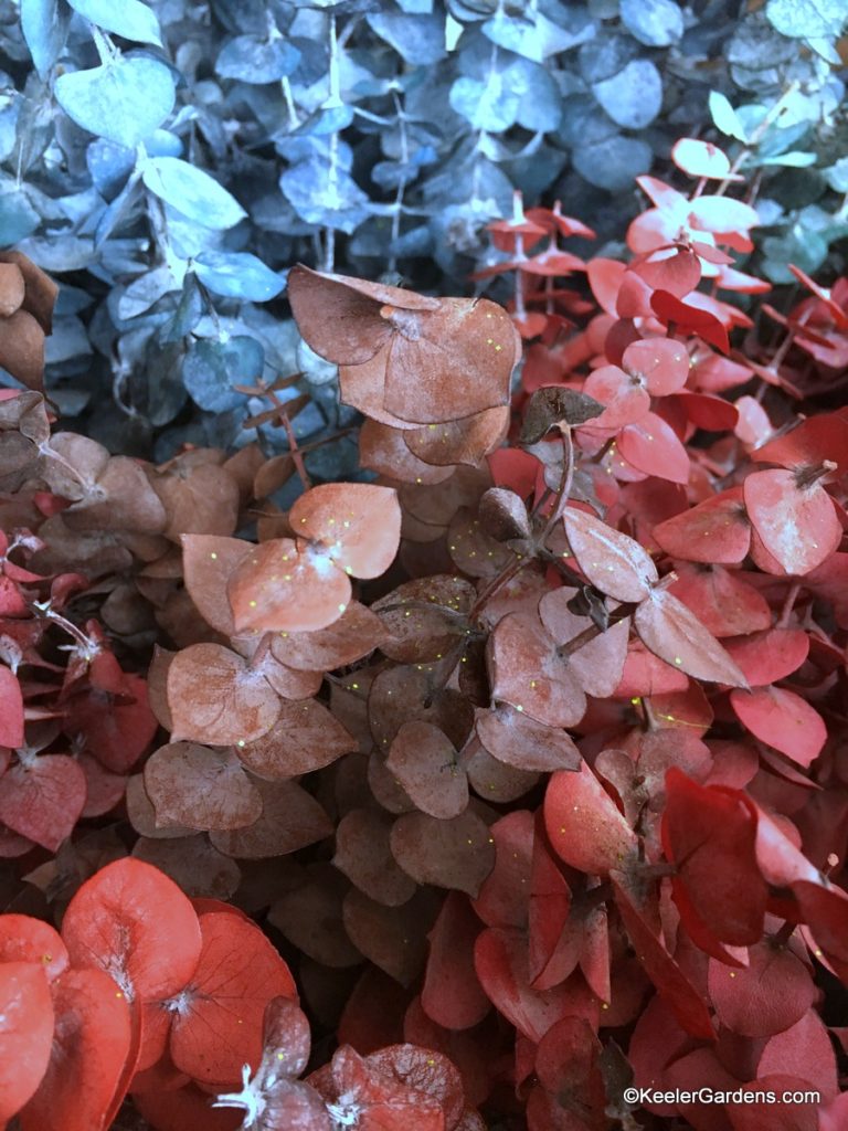 Groups of eucalyptus branches dyed in rich colors of mocha latte, burnt auburn, and deep iced blue.