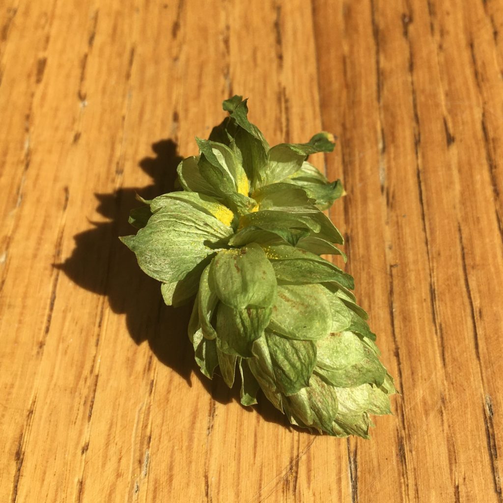 One hop with details in focus