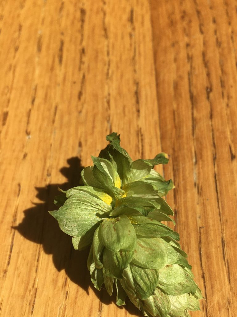 One hop with details in focus