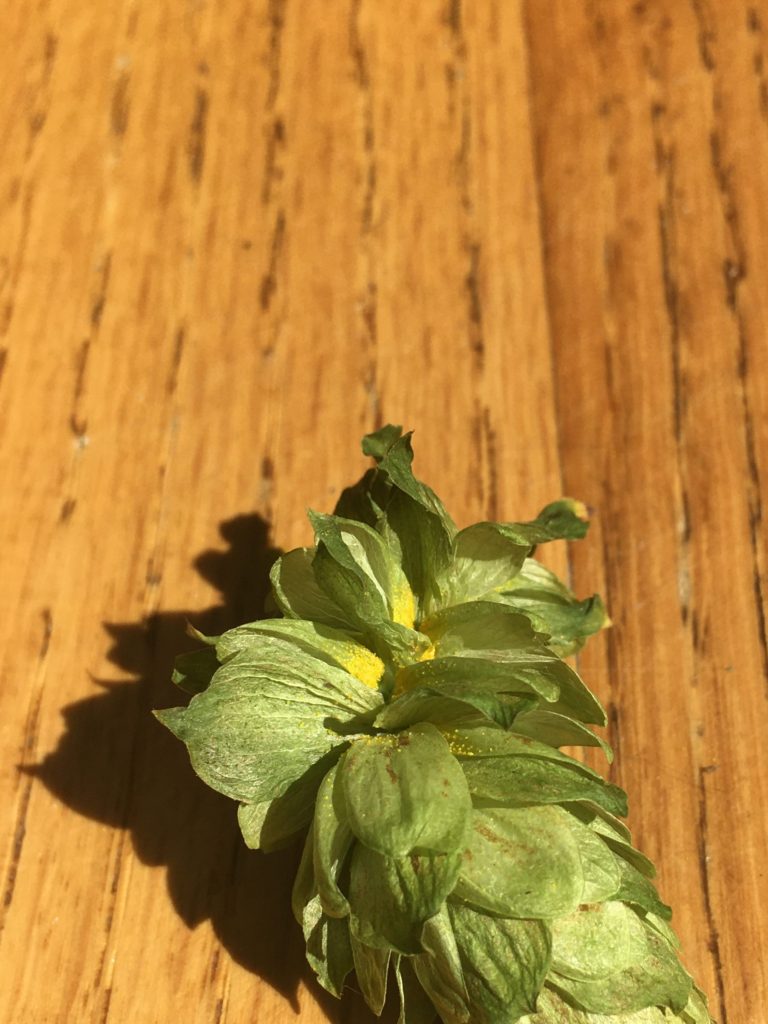 One hop with details in focus