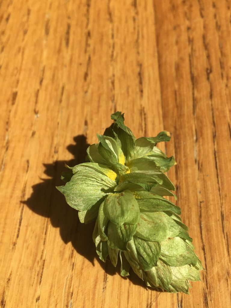 One hop with details in focus